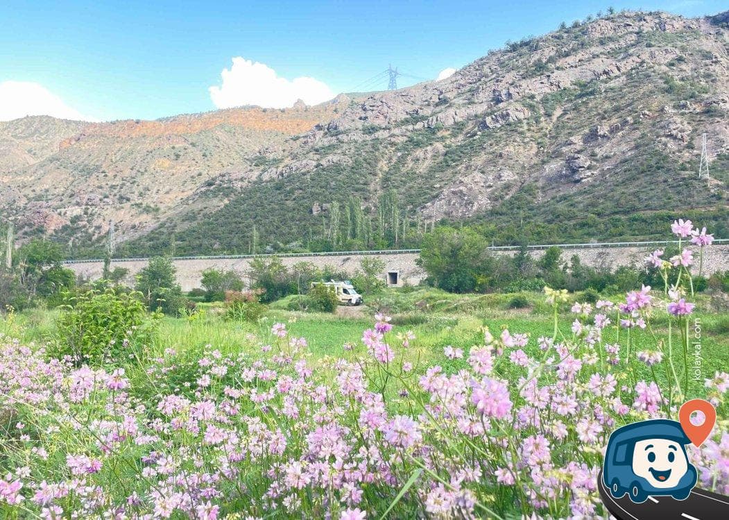 Kılıçkaya Kamp ve Dinlenme Alanı - Yusufeli, Artvin, foto 1