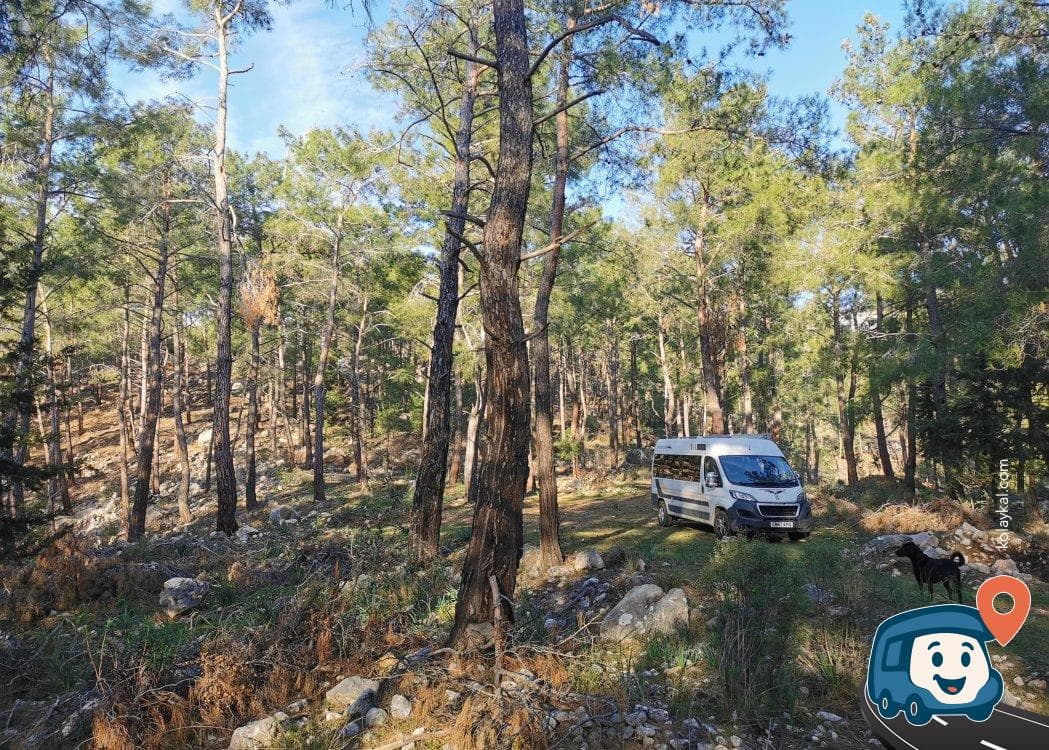 Beycik Yakınlarında Tahtalı Dağı Manzaralı Orman Kamp Alanı - Kemer, Antalya, foto 2