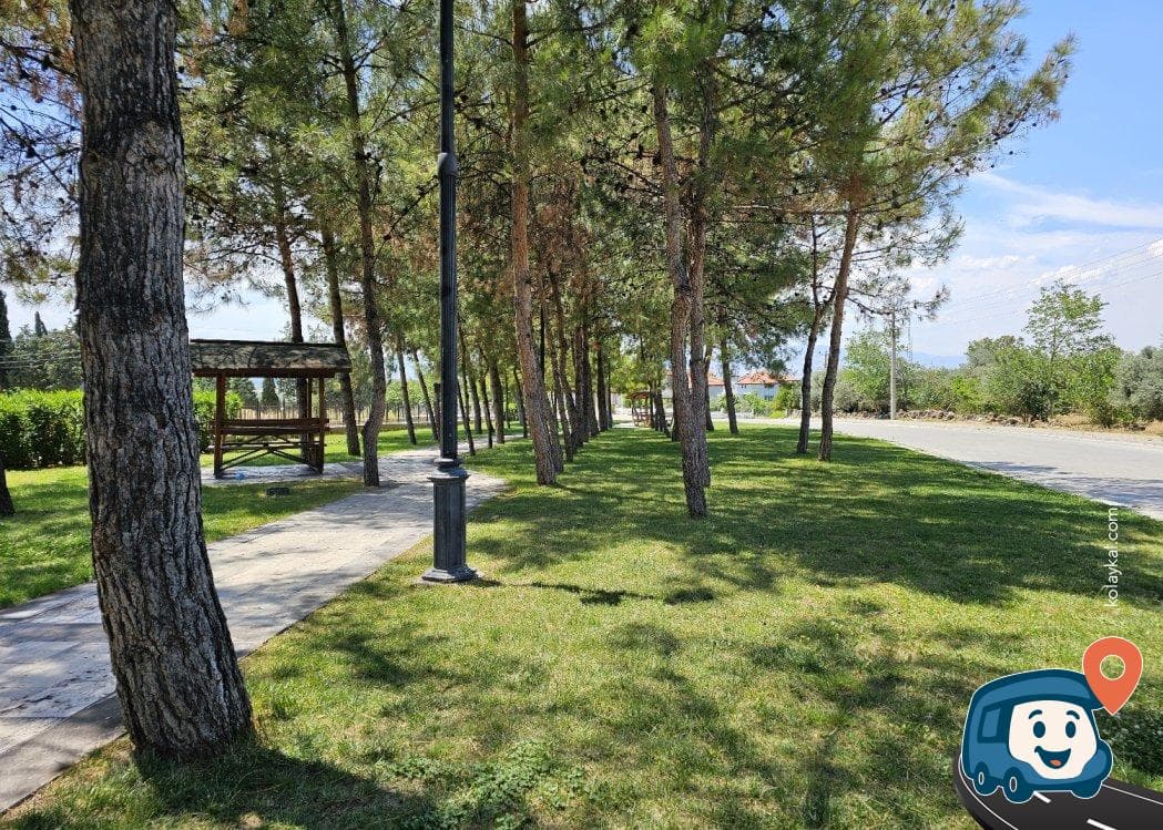 Sakin Yol Kenarında Gölgede Piknik Alanı - Pamukkale, Denizli, foto 1