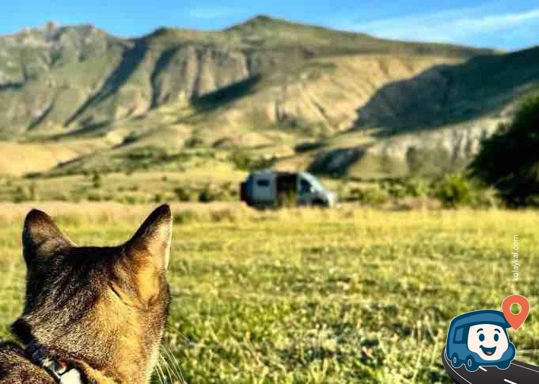 Fırat Nehri Kenarı Sakin Kamp Alanı - Erzincan Merkez, Erzincan, foto 2