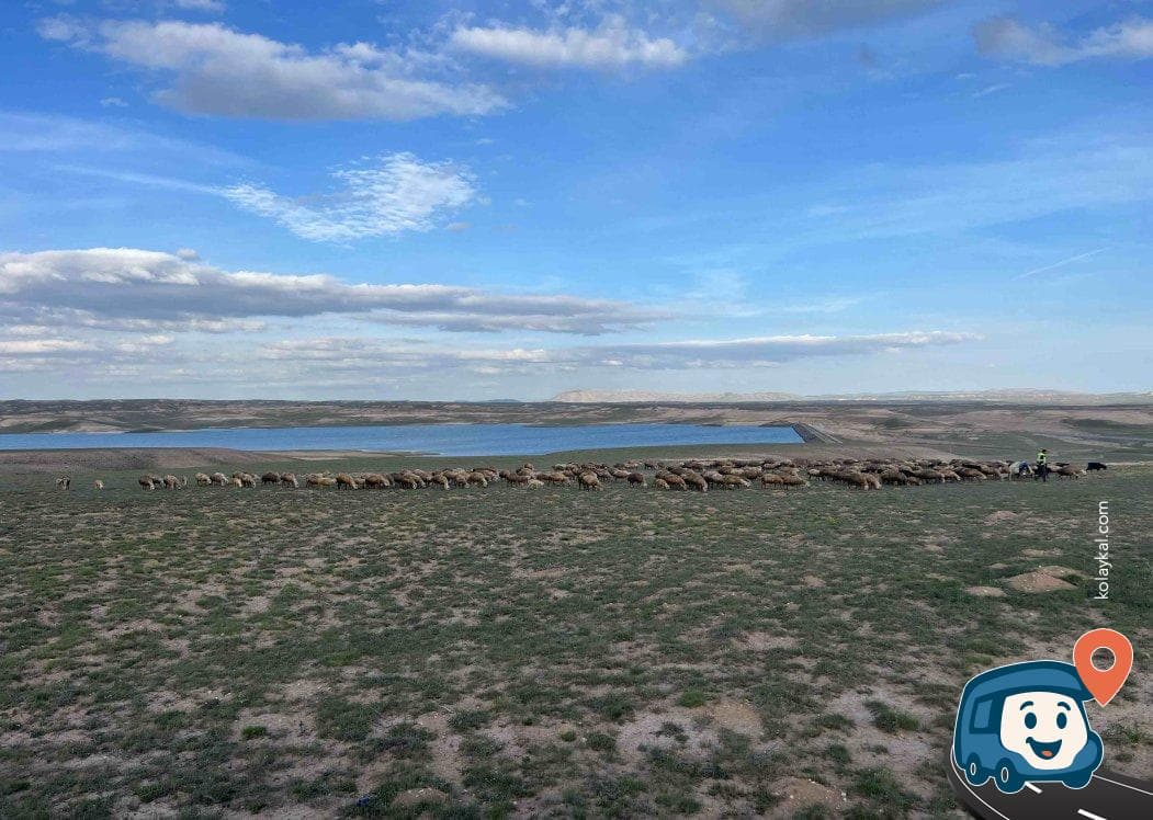 Sivas Kangal Göl Manzaralı Kamp Alanı, foto 1