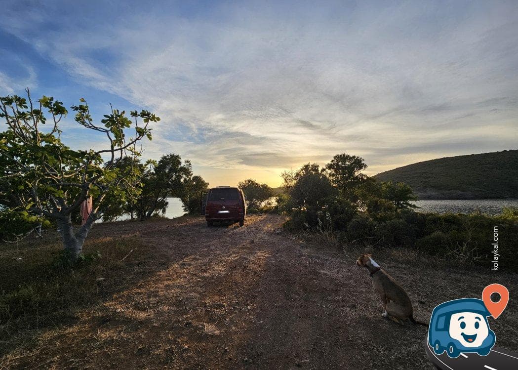 Maden Adası'na Geçiş Yolu Vahşi Kamp Alanı - Ayvalık, Balıkesir, foto 5
