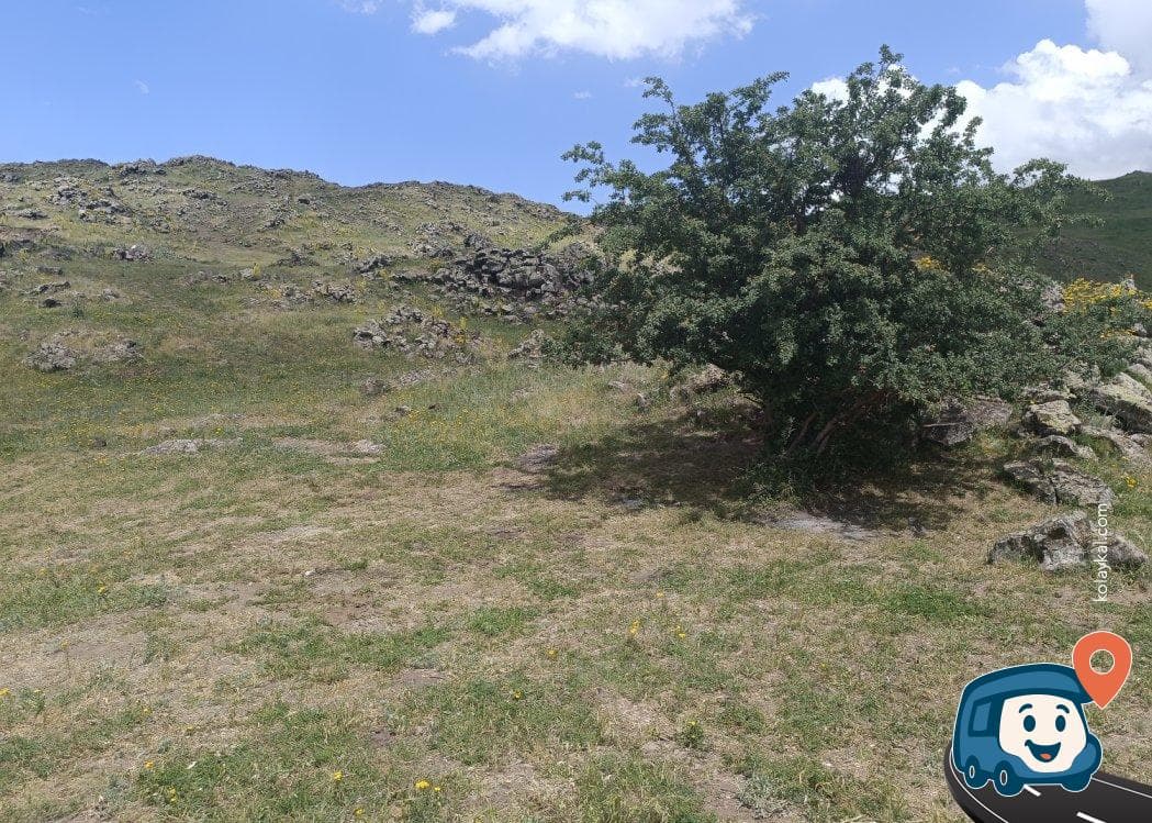 Sakin Yol Kenarı Çim Alan Kamp Yeri - Iğdır Merkez, Iğdır, foto 1