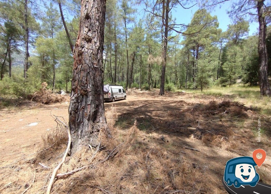 Olimpos Yakınları Orman Kampı - Kemer, Antalya, foto 1