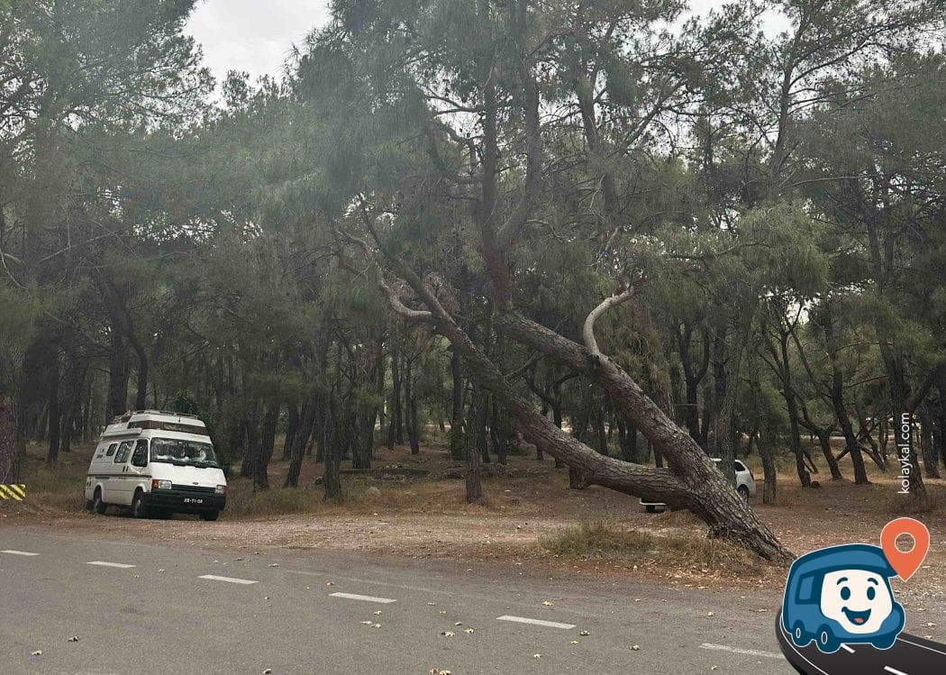 Antalya Hayvanat Bahçesi Otoparkı - Kepez, foto 1