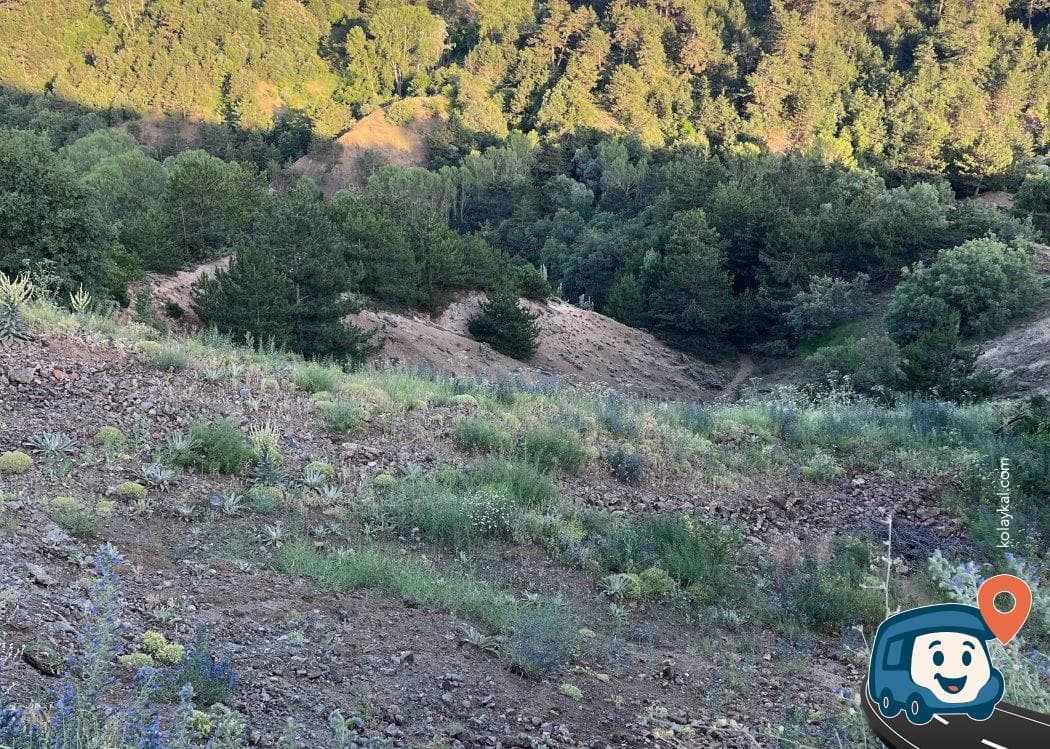 Vadi Manzaralı Tepedeki Kamp ve Mola Noktası - Eskipazar, Karabük, foto 1