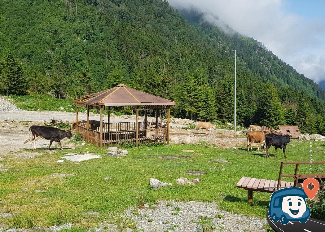 Galer Düzü - Çamlıhemşin, Rize, foto 3