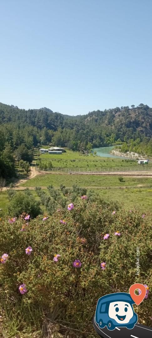 Jacaranda Lodge Kabinler ve Kamp Alanı - Manavgat, Antalya, foto 1