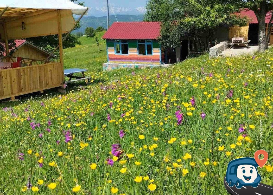 Pınarlı Otantik Kır Lokantası - Şavşat, Artvin, foto 3