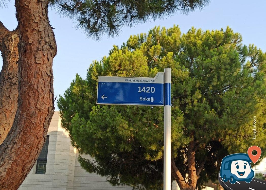 Bodrum Migros Yanı Ücretsiz Otopark ve Gölge Alanı - Muğla, foto 2