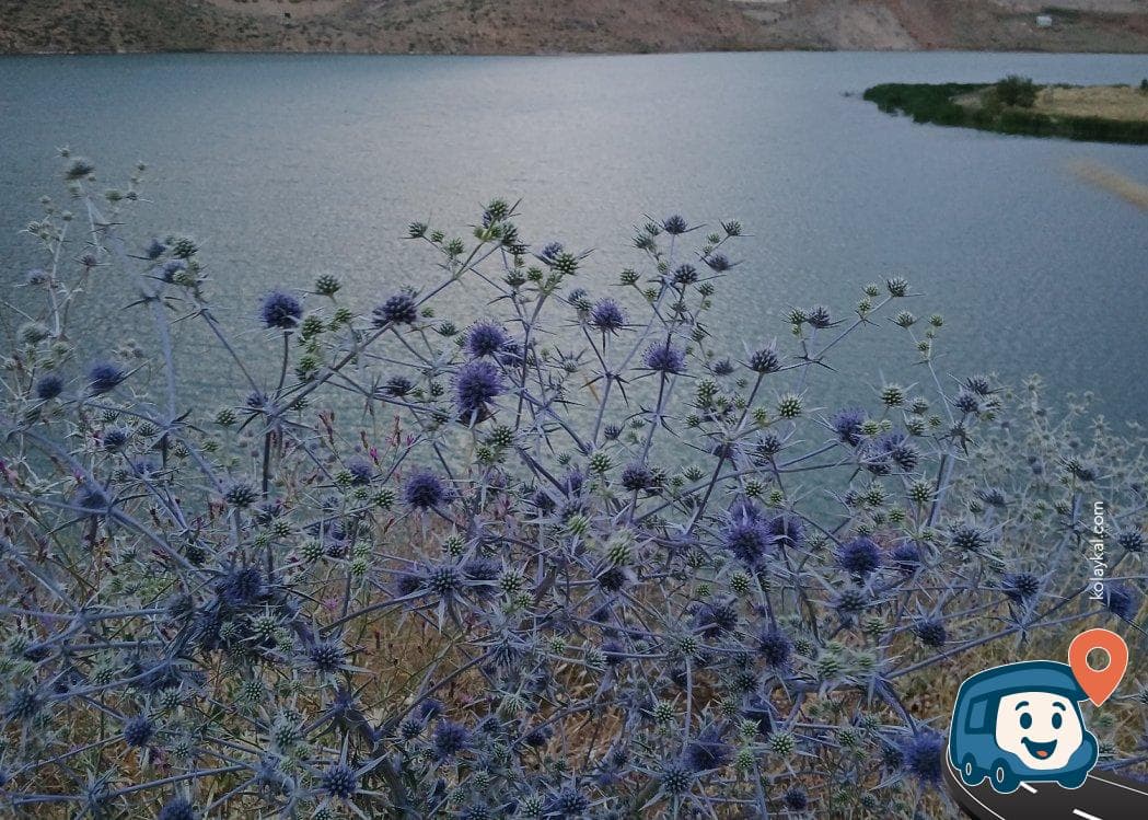 Baraj Gölü Kenarı Kamp Alanı - Yüksekova, Hakkari, foto 2
