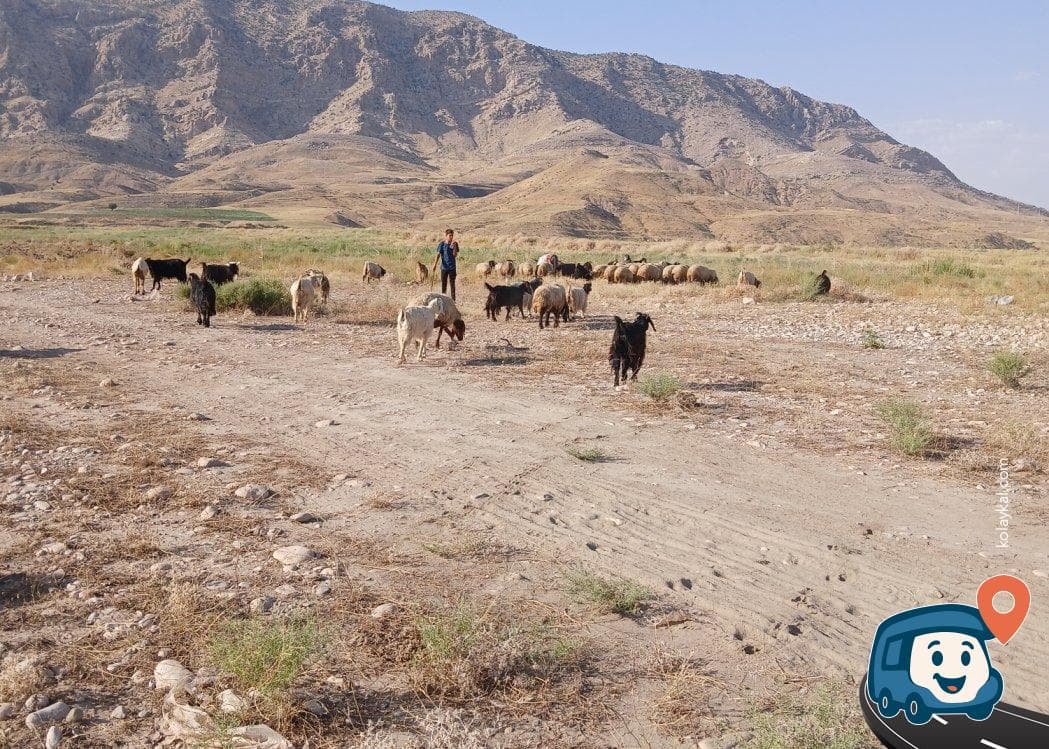 Cizre Kamp Alanı - Şırnak, foto 1