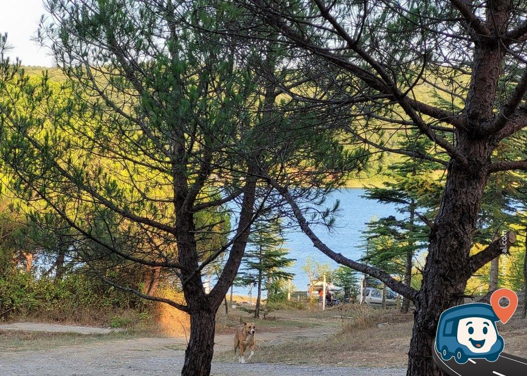 Sahilköy Yakınlarında Gölet Kamp Alanı - Pendik, İstanbul, foto 1