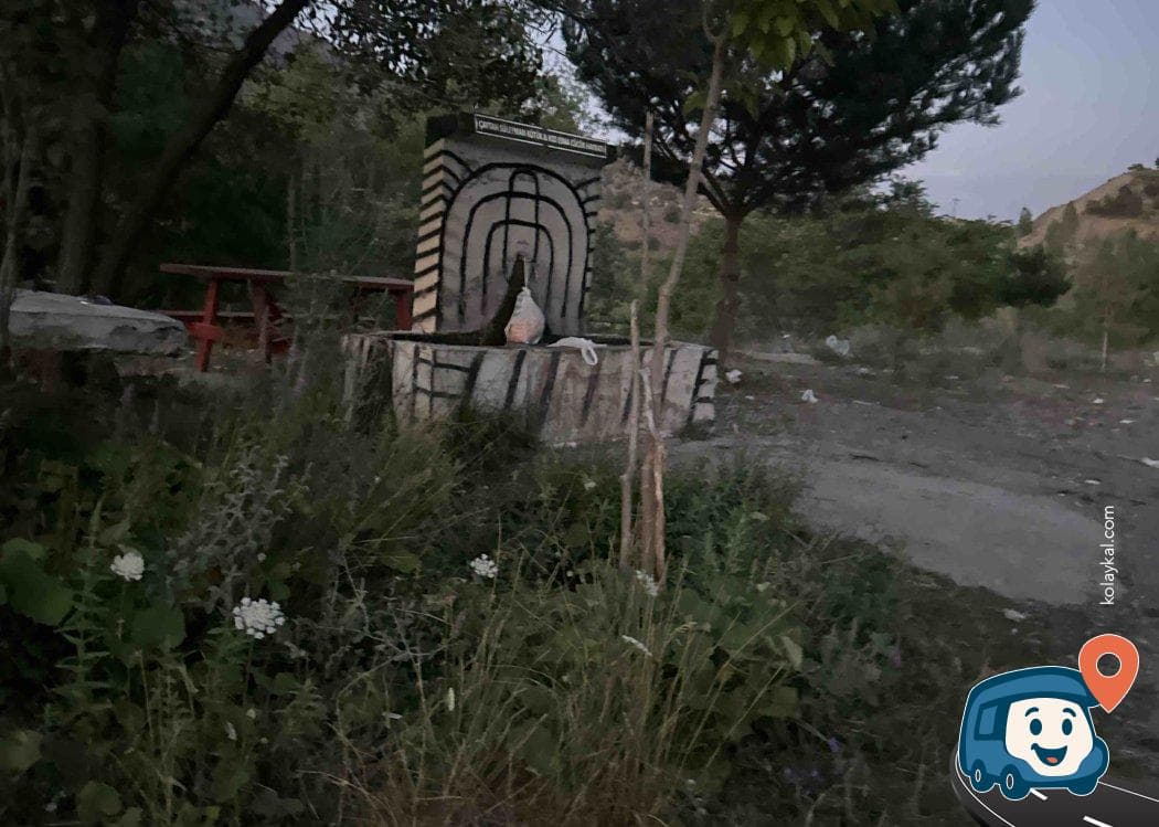 Yol Kenarı Çeşme ve Mola Yeri - Çamoluk, Giresun, foto 2