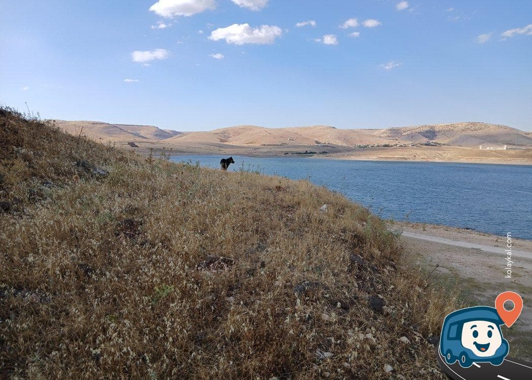 Derik Baraj Gölü Kamp Alanı - Mardin, foto 3