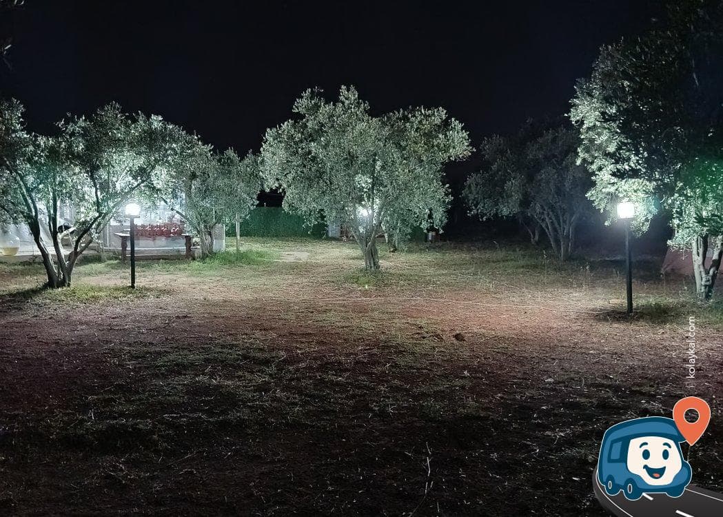 Olive Garden Kamp Alanı - Karacasu, Aydın, foto 8