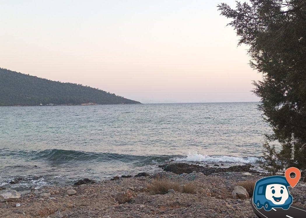 Milas Gürçamlar Vahşi Kamp Alanı - Muğla, foto 1