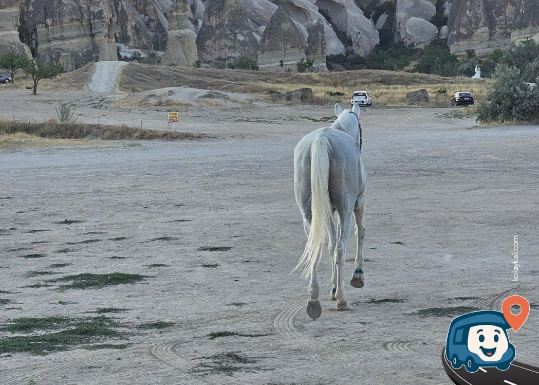 Kapadokya Balon Kalkış Alanı Kamp ve Karavan Parkı - Nevşehir Merkez, Nevşehir, foto 1