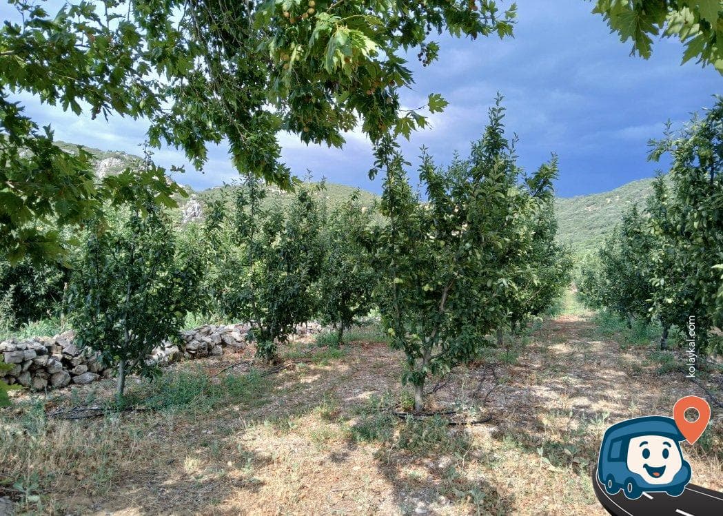 Eğirdir Gölü Kenarı Sakin Kamp Alanı - Isparta, foto 1