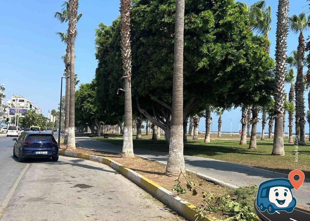 Mersin Sahil Yolu Ücretsiz Otopark - Yenişehir, foto 3