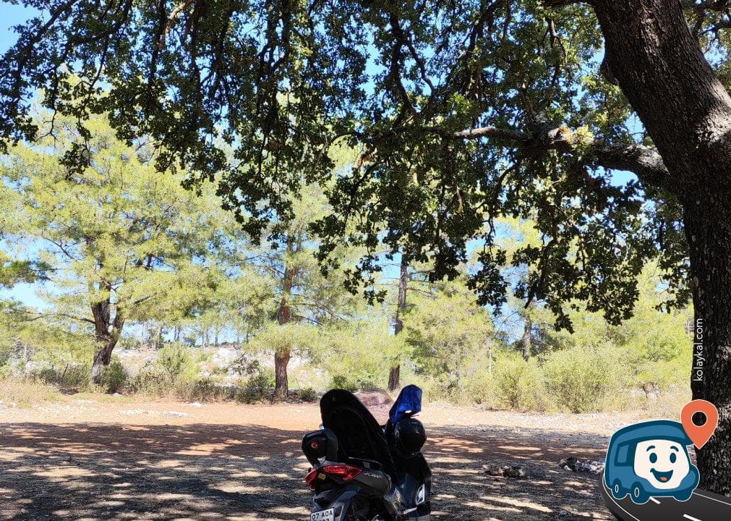 Likya Yolu Üzeri Orman Kamp Alanı - Finike, Antalya, foto 1