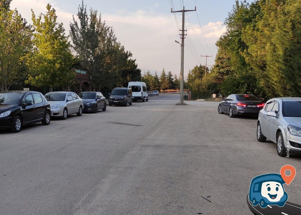 Kızılırmak Deltası Kuş Cenneti Kamp ve Piknik Alanı - Suluova, Amasya, foto 3