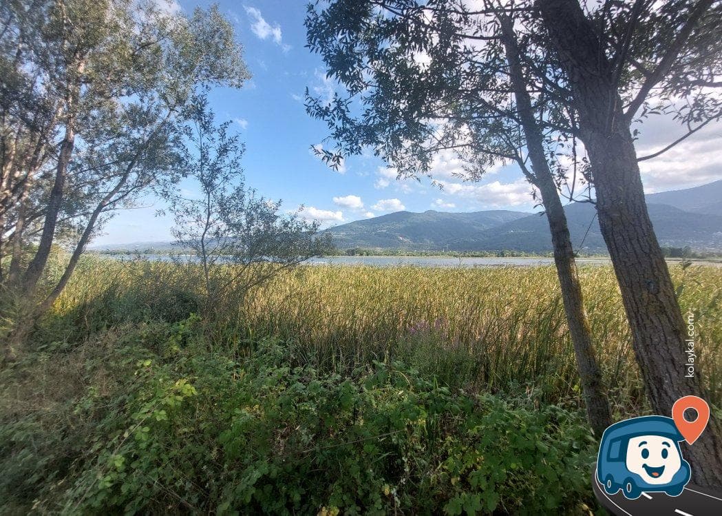 Ormanya Yakını Göl Kenarı Kamp Alanı - Kartepe, Kocaeli, foto 3