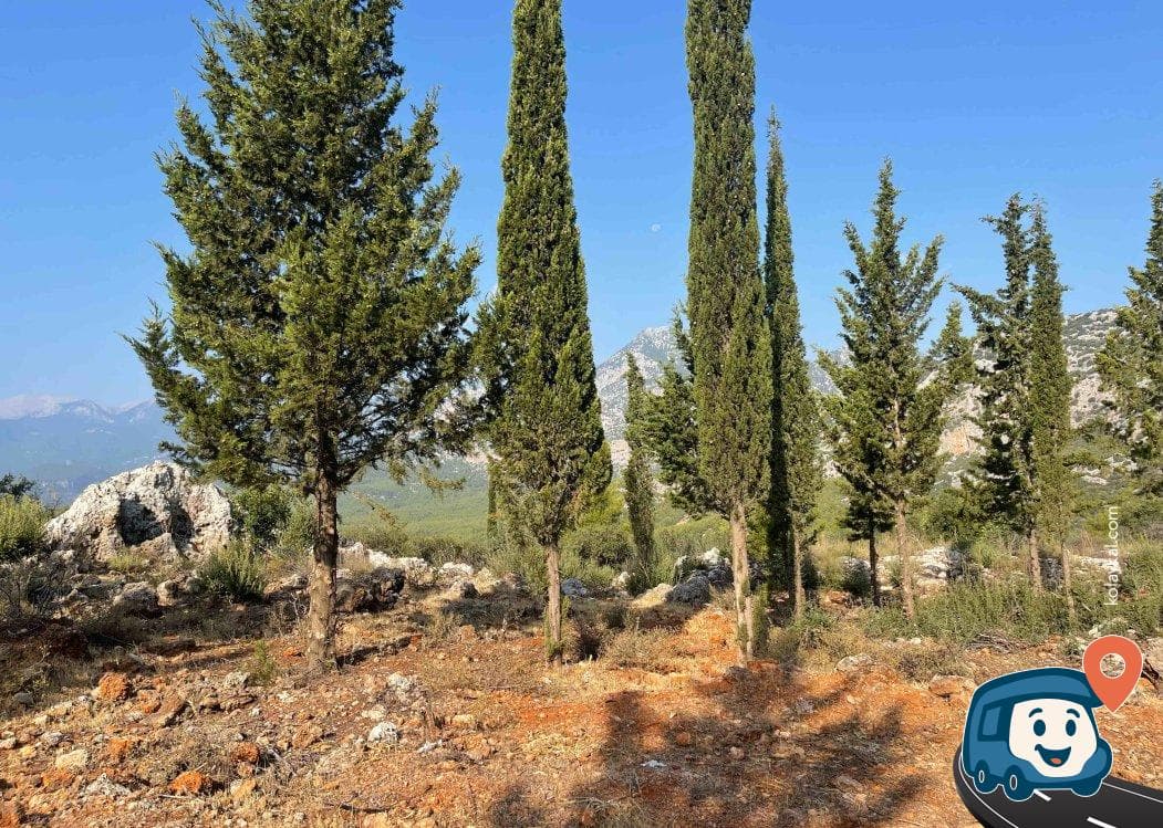 Antalya Orman İçi Kamp Alanı ve Manzara Noktası - Konyaaltı, foto 1