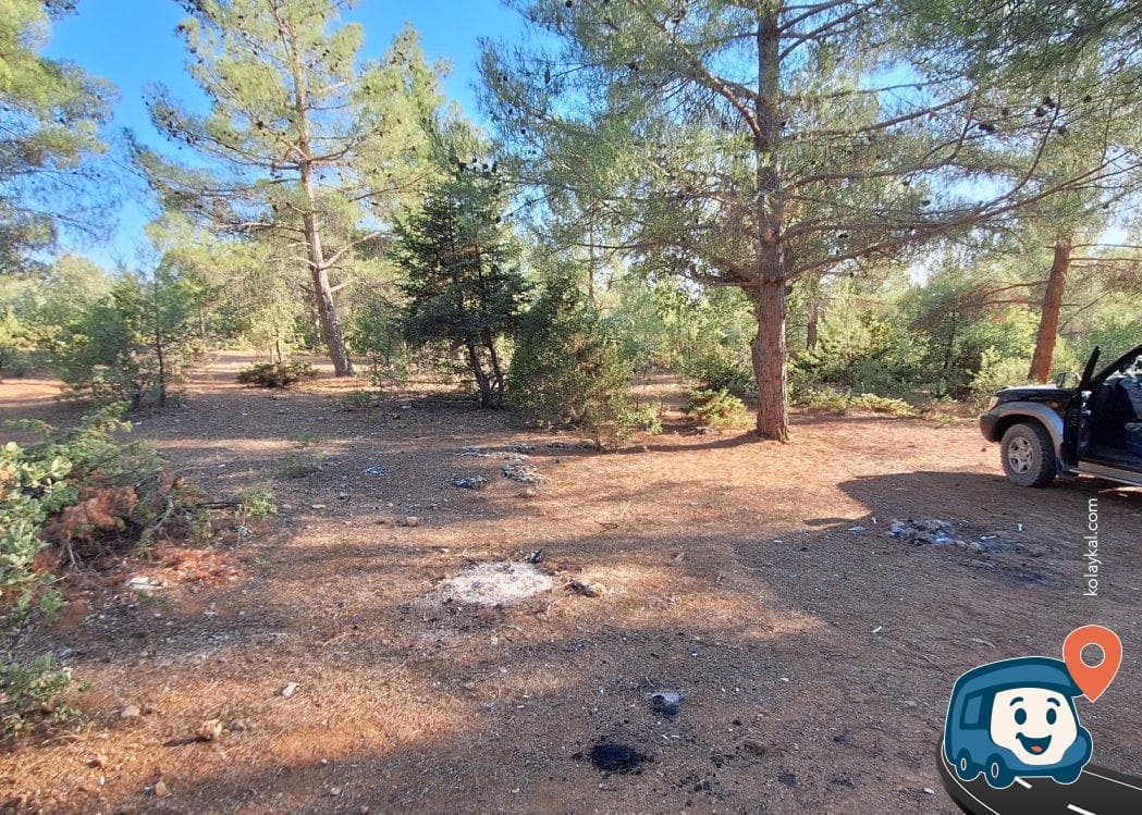 Sivaslı Çam Ormanı Kamp Alanı - Uşak, foto 2