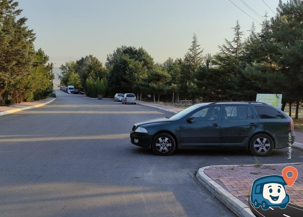 Kızılırmak Deltası Kuş Cenneti Kamp ve Piknik Alanı - Suluova, Amasya, foto 2