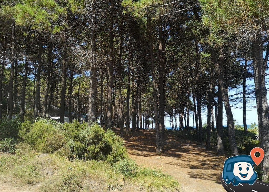 Göllü Köyü Orman İçi Kamp Alanı - Beykoz, İstanbul, foto 2