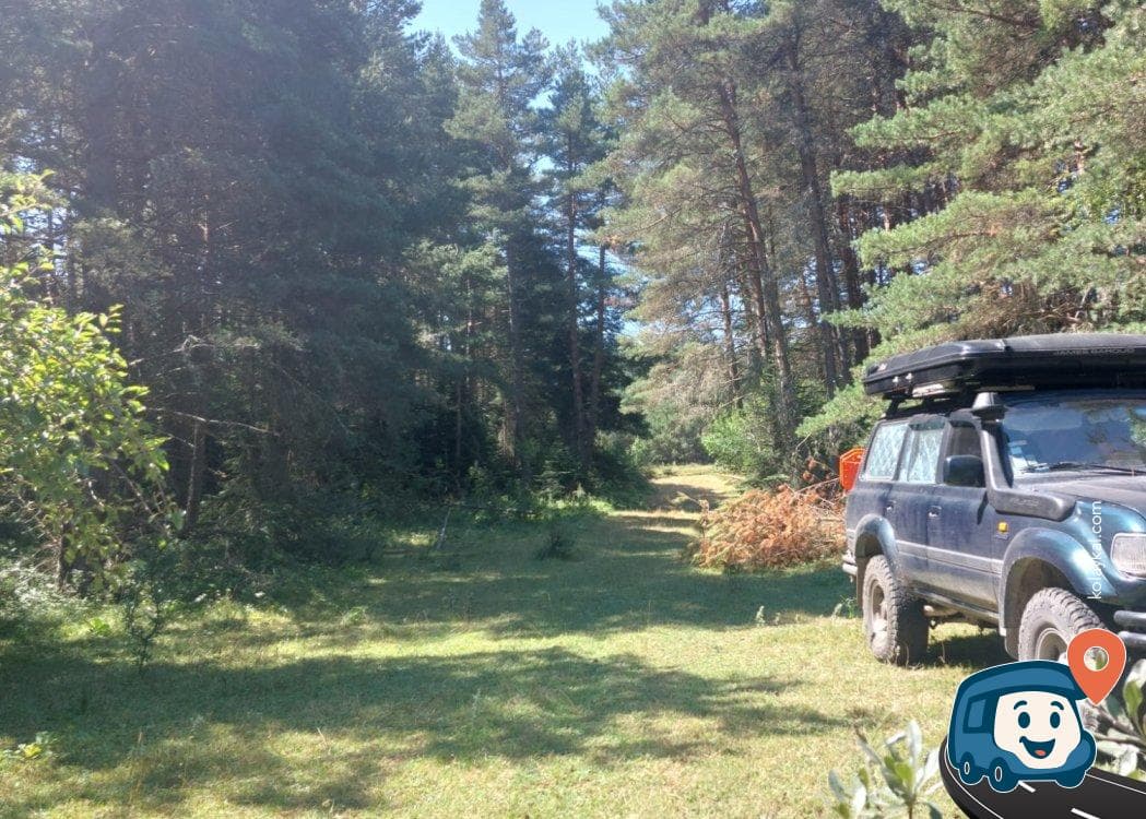 Orman İçi Kamp Alanı - Ağlı, Kastamonu, foto 1