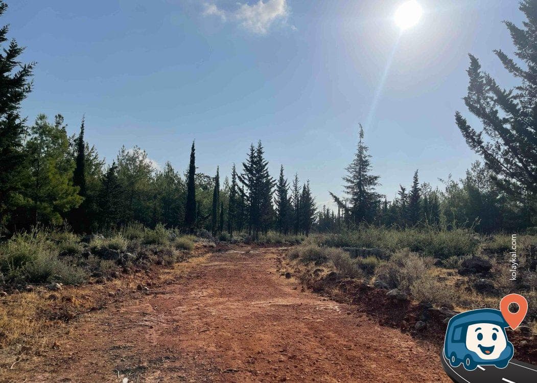 Antalya Orman İçi Kamp Alanı ve Manzara Noktası - Konyaaltı, foto 3