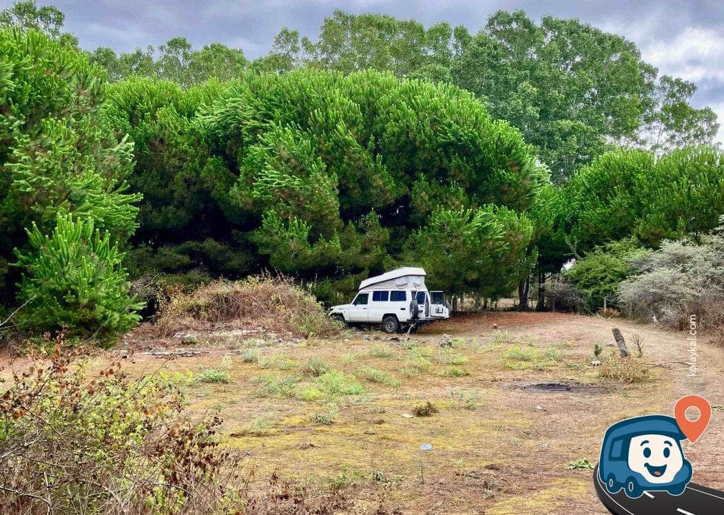 Denize Yakın Kamp Noktası - Alaçam, Samsun, foto 2