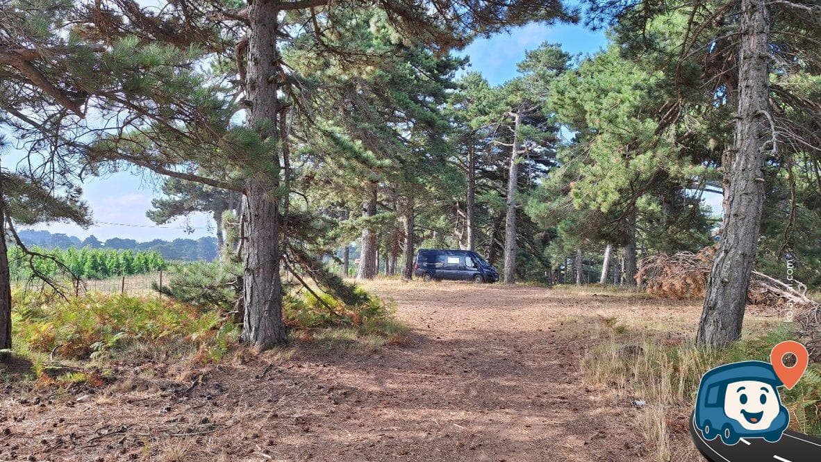 Bursa Orman İçi Piknik ve Kamp Alanı - Osmangazi̇, foto 2