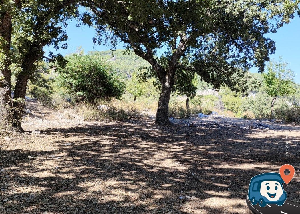 Likya Yolu Üzeri Orman Kamp Alanı - Finike, Antalya, foto 2