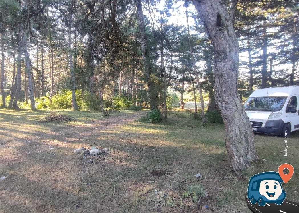 Bolu Yolu Üzeri Mola ve Kamp Noktası - Bolu Merkez, foto 3
