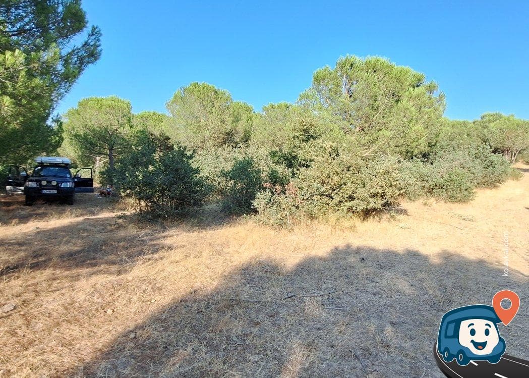 İvrindi Orman İçi 4x4 Kamp Alanı - Karesi, Balıkesir, foto 3