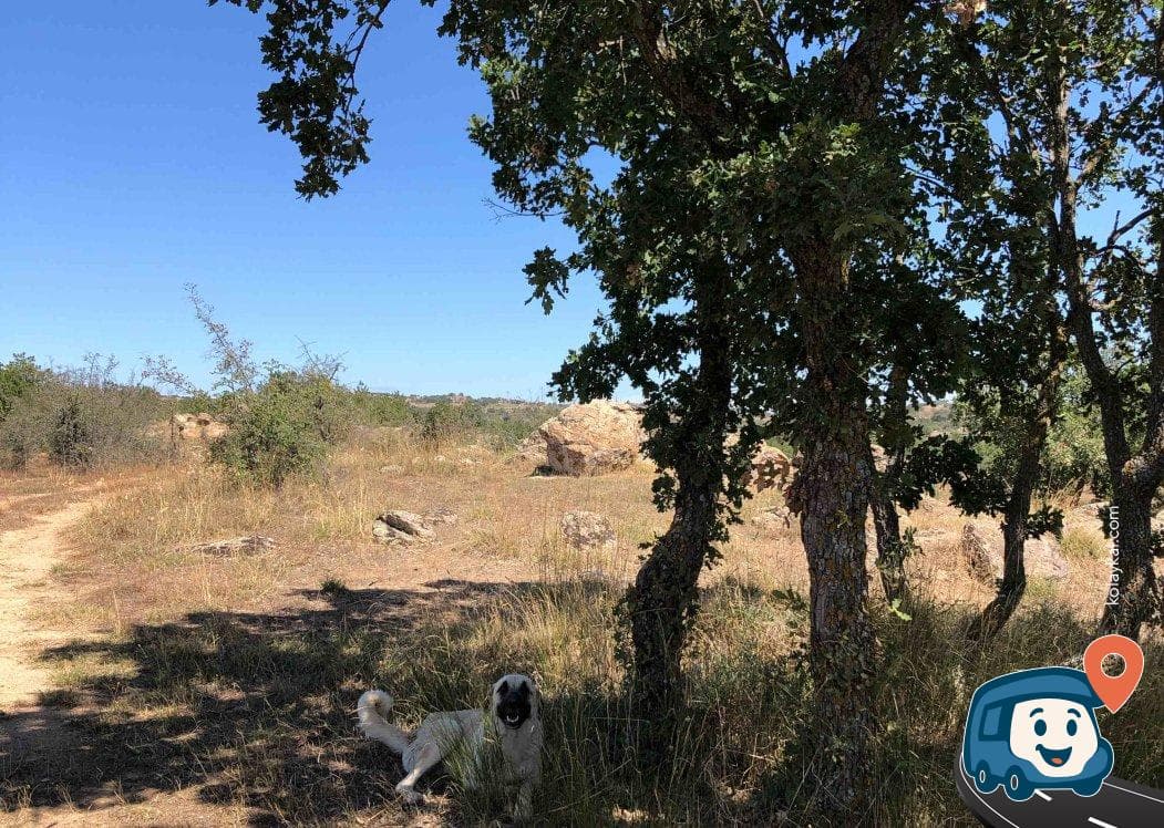 Kırklareli Manzara Seyir Noktası ve Kamp Alanı - Kırklareli Merkez, foto 2