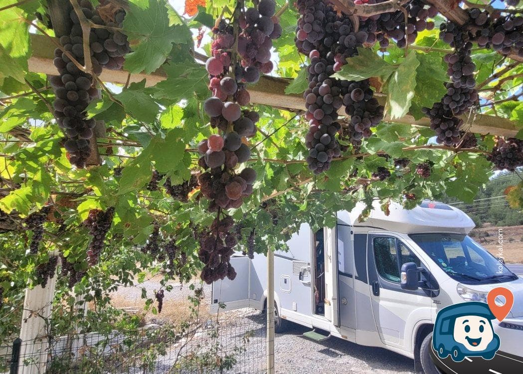 Asmaaltı Kaynak Suyu Yanı Kamp ve Otopark Alanı - Yatağan, Muğla, foto 2