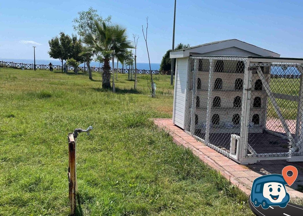 Antalya Kedi Evinin Yanındaki Su Kaynağı - Muratpaşa, foto 1