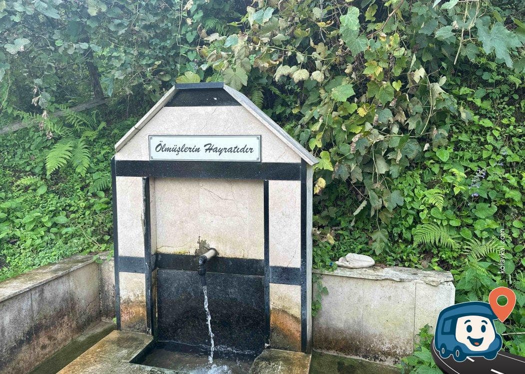 Giresun İçme Suyu Kaynağı - Espiye, foto 1