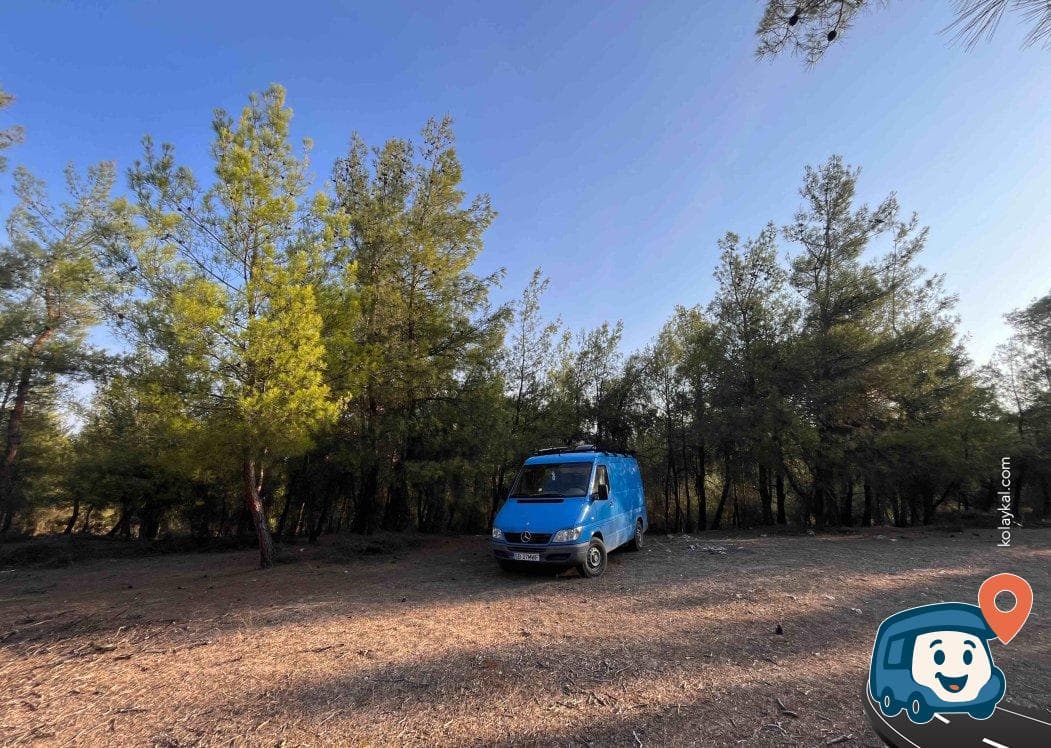 Karacasu Kamp Alanı - Aydın, foto 1