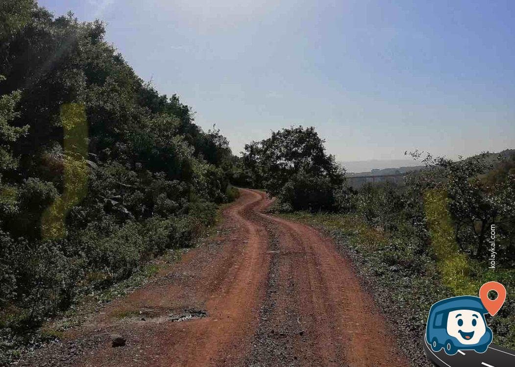 Dere Kenarı Piknik Alanı ve Yürüyüş Parkuru - İzmit, Kocaeli, foto 3