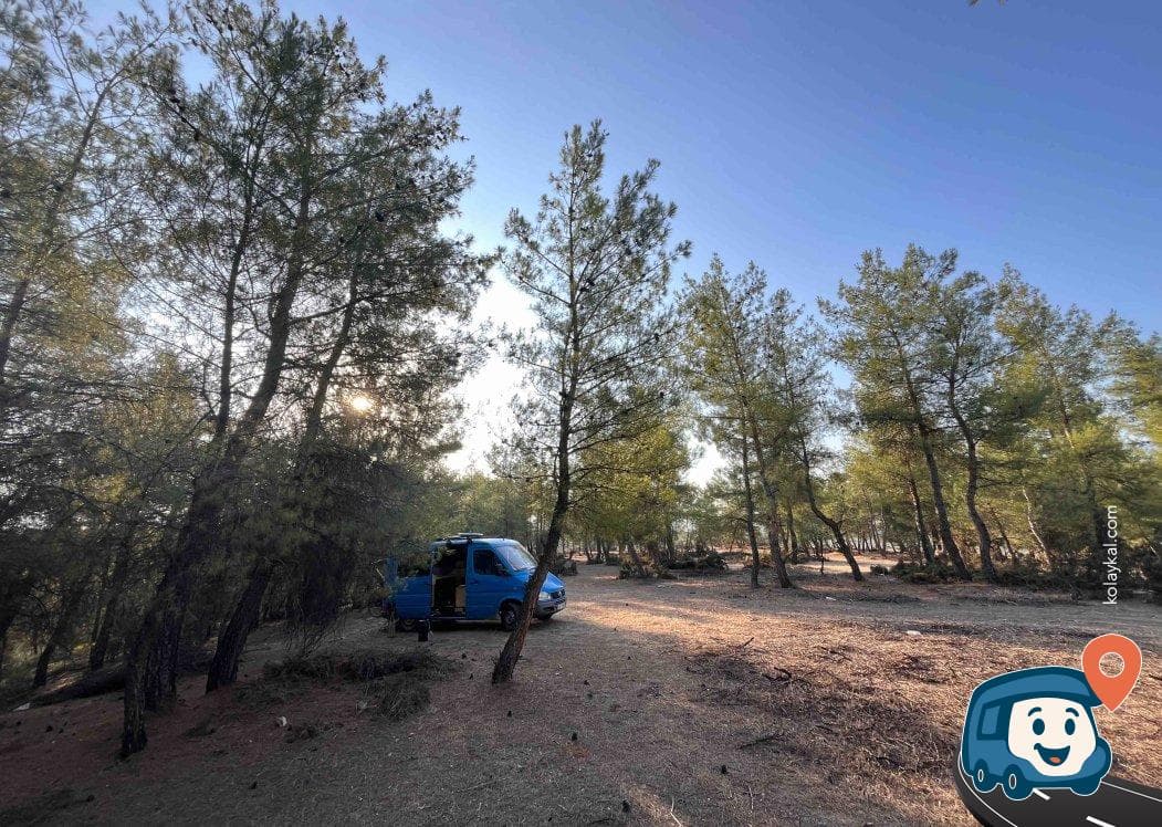 Karacasu Kamp Alanı - Aydın, foto 2