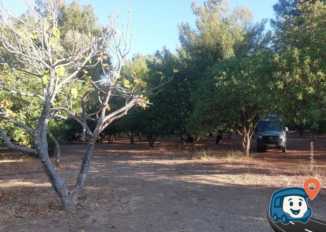 Güzelçamlı Mesire Alanı - Kuşadası, Aydın, foto 1