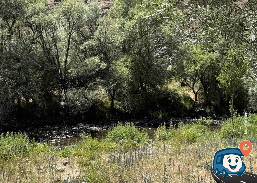 Çankırı Kurşunlu Piknik Alanı, foto 4