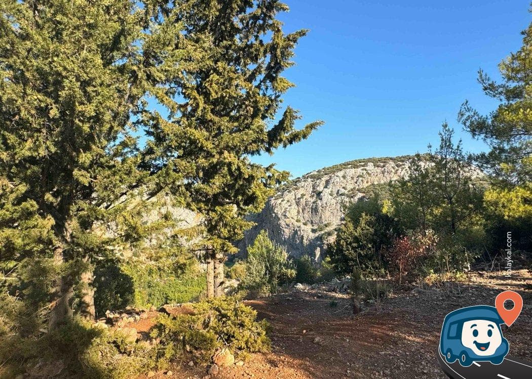 Kanyon Manzaralı Orman İçi Kamp Alanı - Konyaaltı, Antalya, foto 1