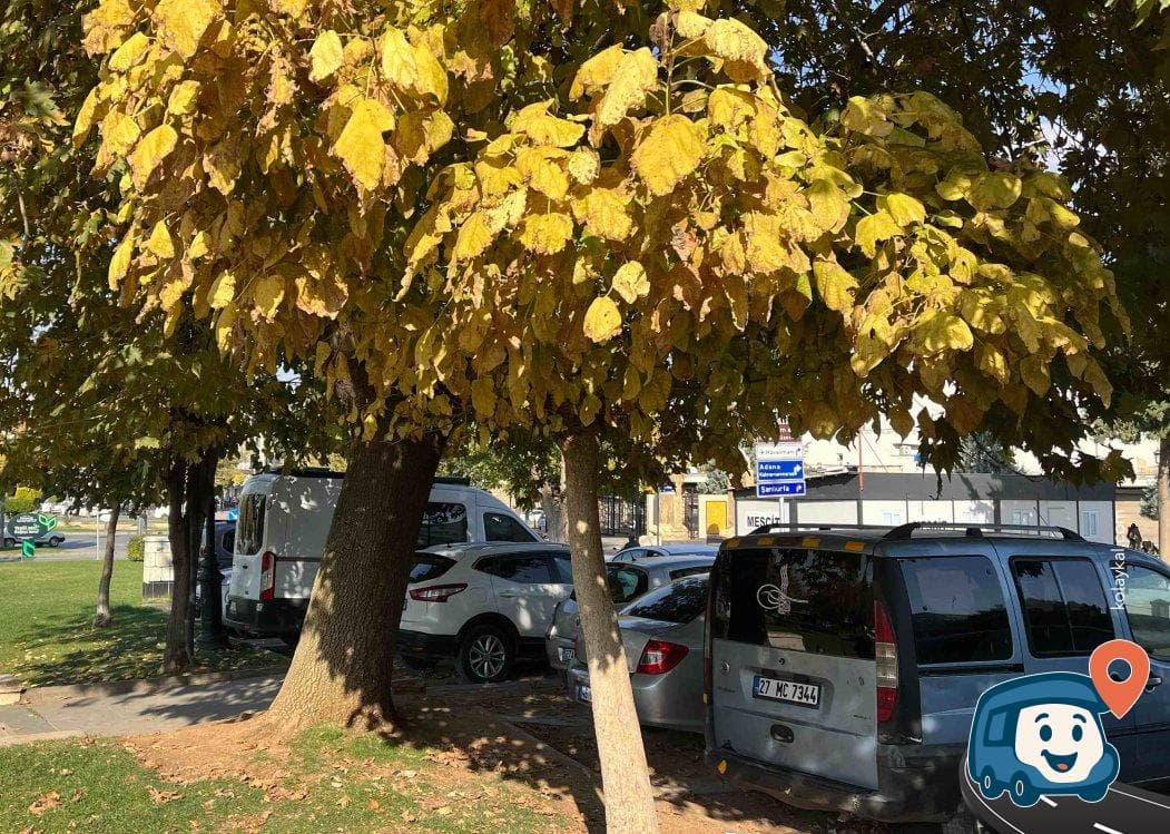 Ücretsiz Otopark ve Servis Alanı - Şahinbey, Gaziantep, foto 2