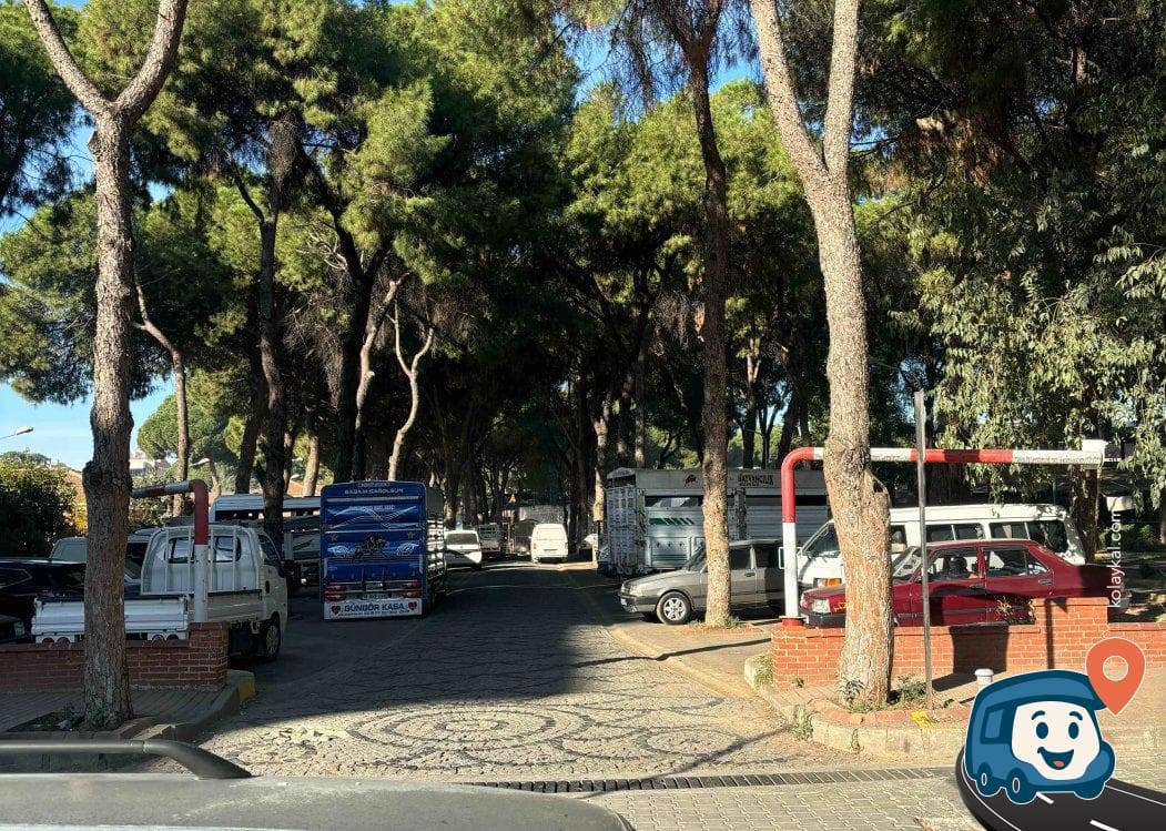 İzmir Ödemiş Ücretsiz Gece Konaklama Alanı, foto 2